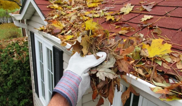 tips_cleaning_gutters tips_cleaning_gutters